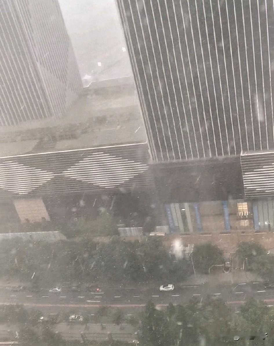今早暴雨，下冒烟儿啦，雨滴大如雪片，漫天飞舞，挺吓人！

今天早上7点多，暴雨来