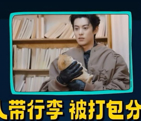 下集预告这里托着个小猫咪 