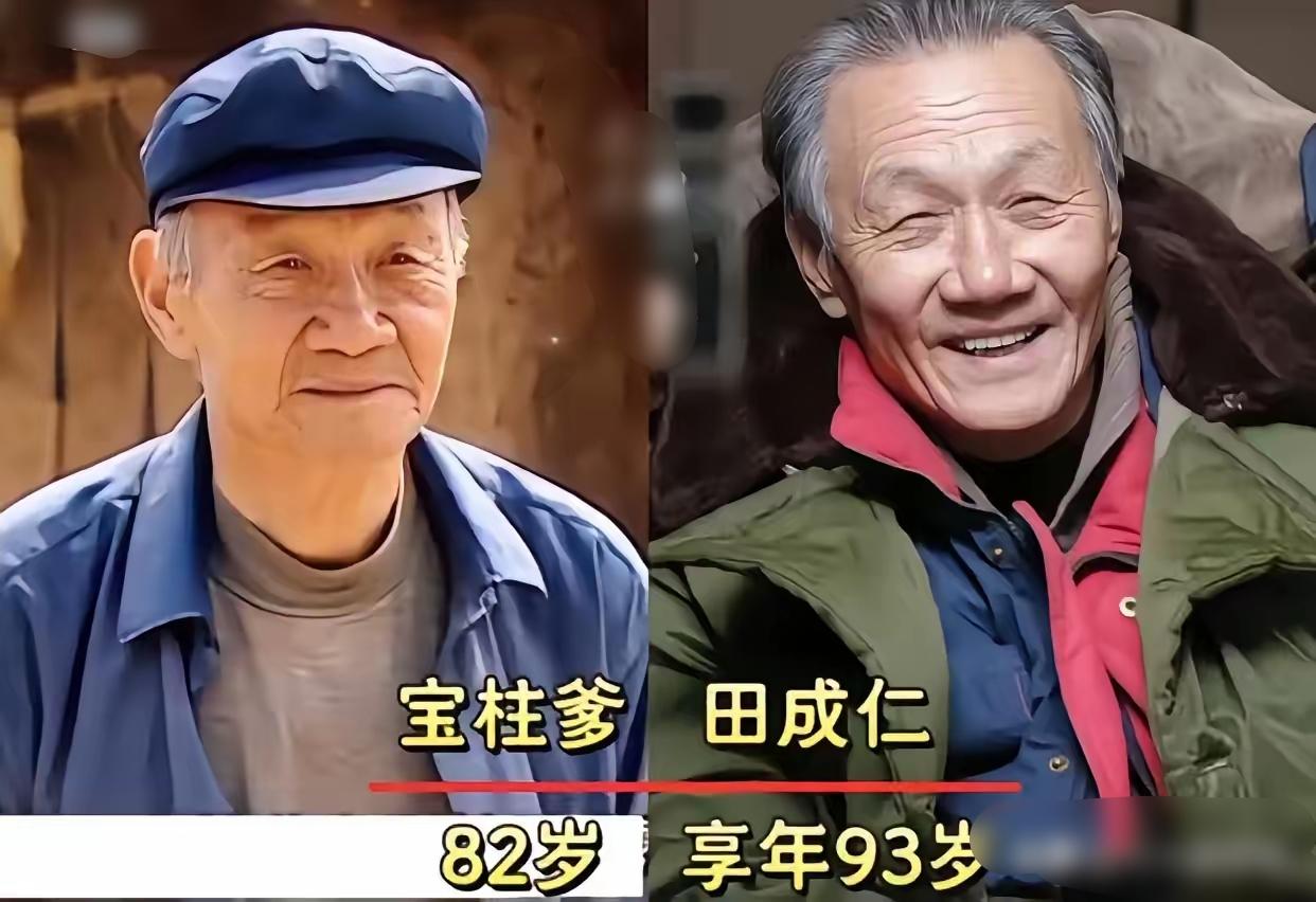田成仁、陈友旺、戴江，《暖春》的实力派，田成仁演的爷爷赚足眼泪，陈友旺的香草爹朴