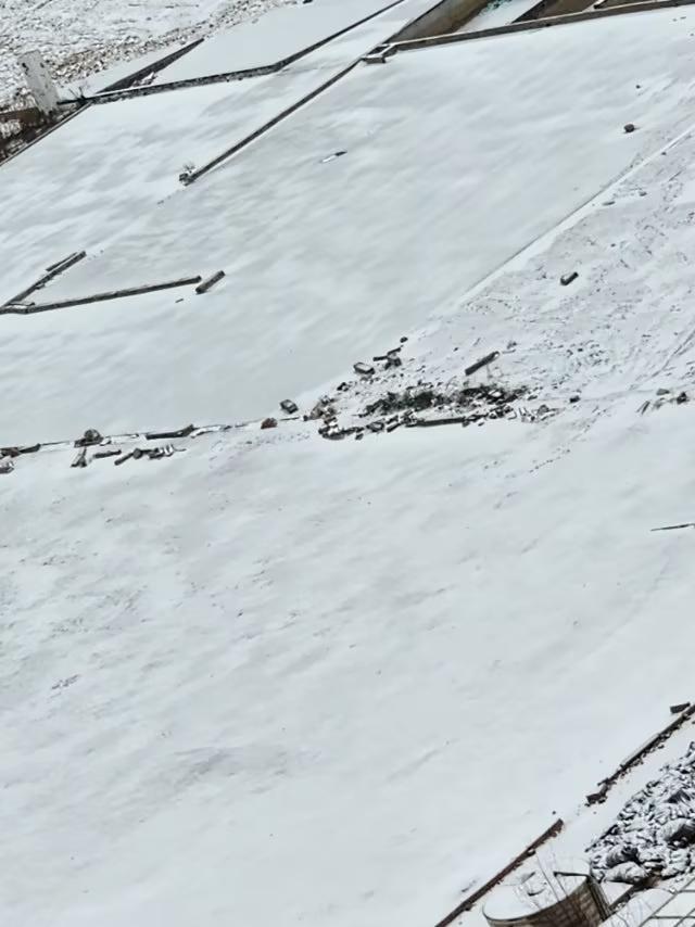 昨天到今夜青岛下了中雪
今早天气阴，最低温度一5度，体感一17度，北风7级。预计