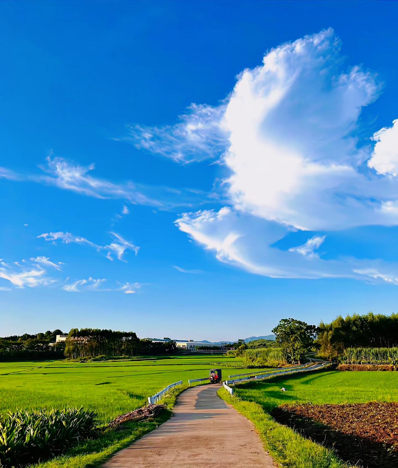 吴谦说：
我们不是生活在一个和平的时代，我们只是生活在一个和平的国家，但和平不会