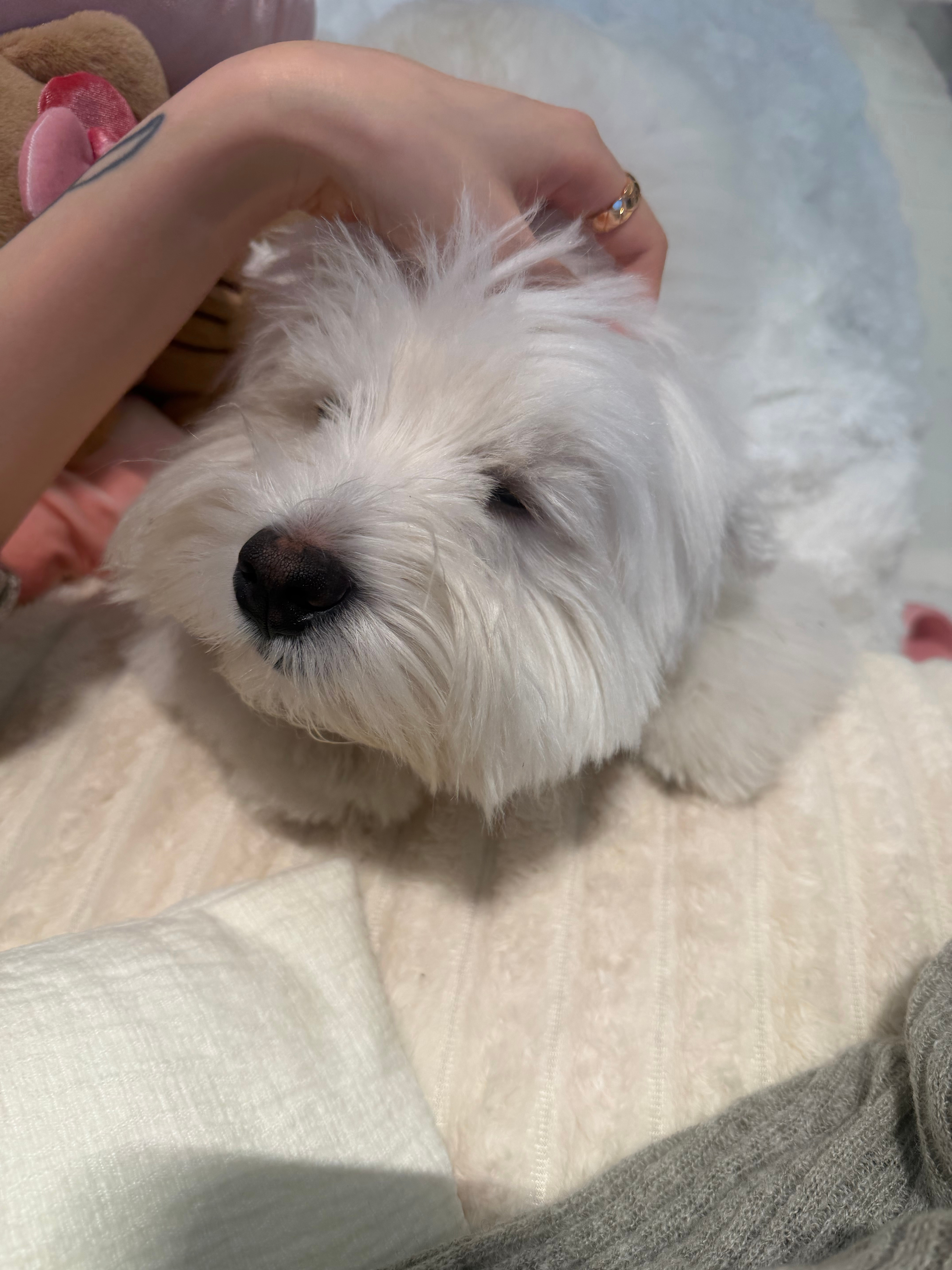 可爱的小东西 嘿嘿嘿嘿嘿 ​​​