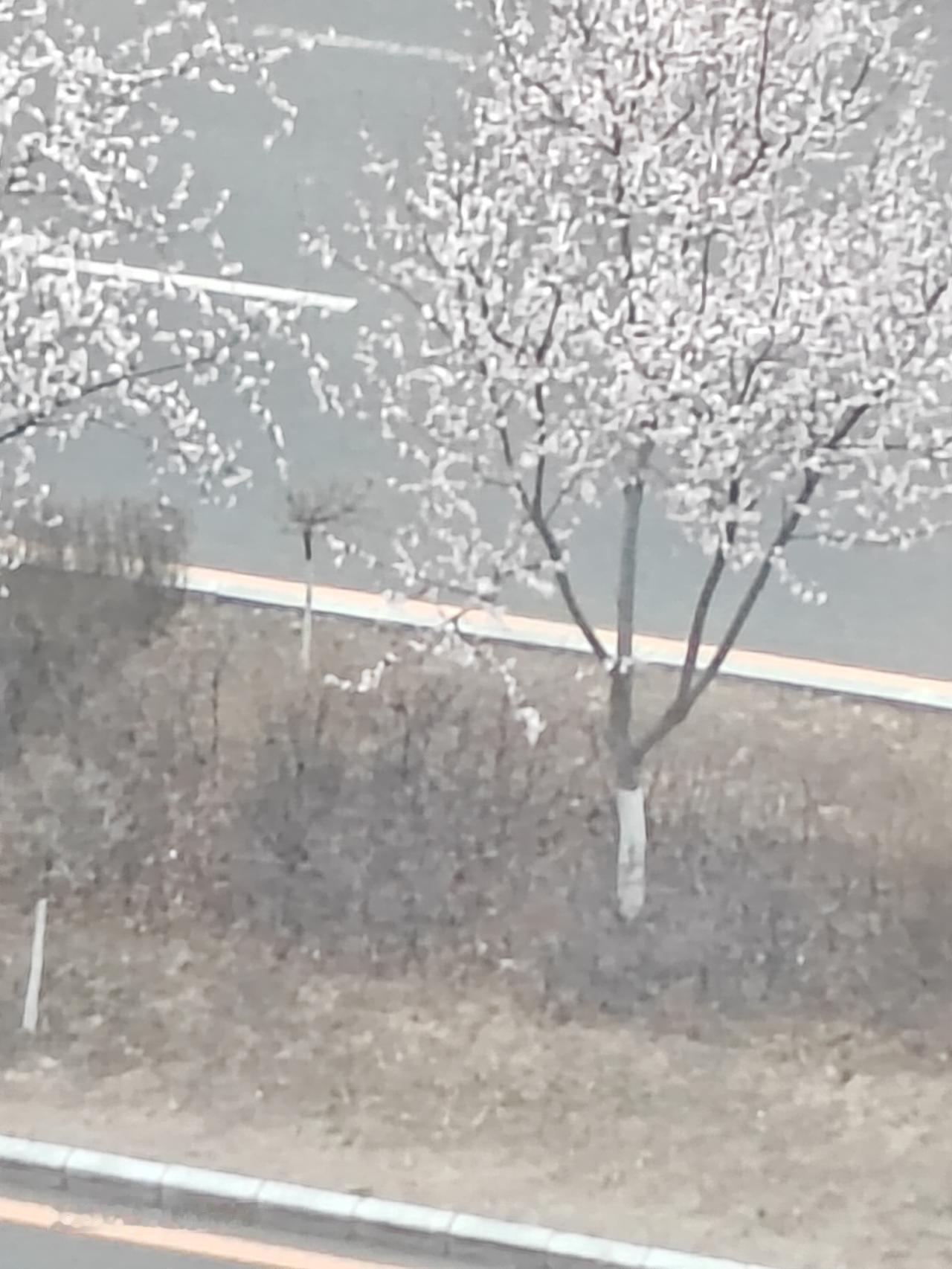 春天花会开，
春去等再来。