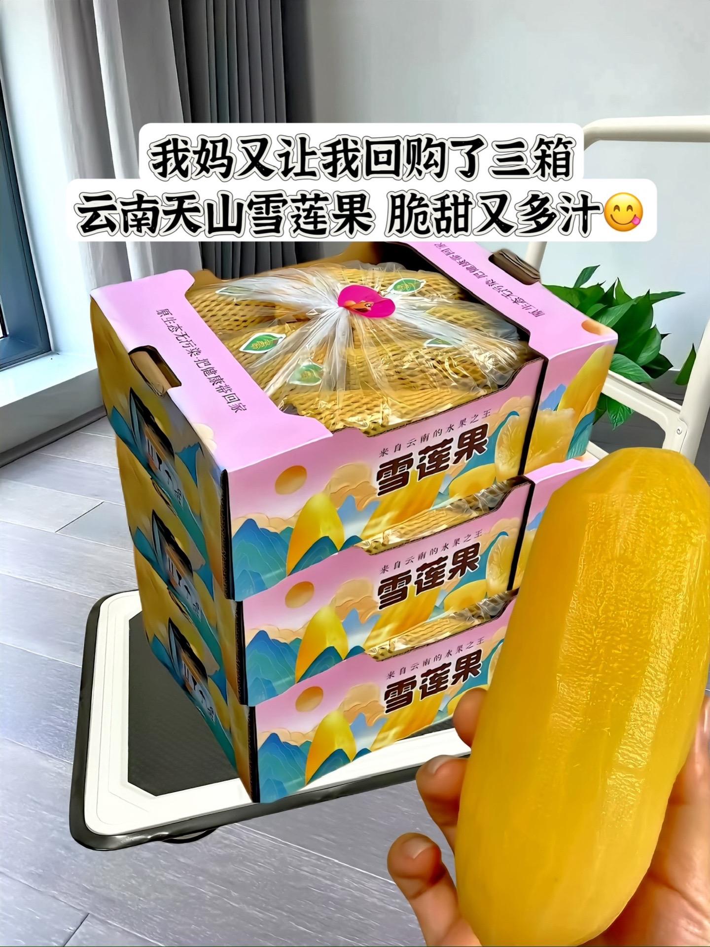 家人们，今年刚出土的头茬天山雪莲果来了！入口脆甜多汁，外表看着像红薯...