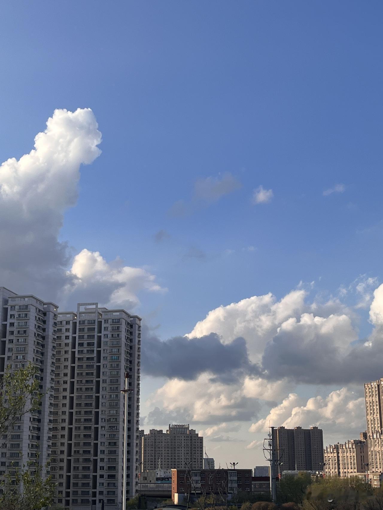 朝阳初升
画眉鸟
在枝头婉转悠扬
阳光如诗
勾勒温暖的画卷

清新的空气
呼吸着