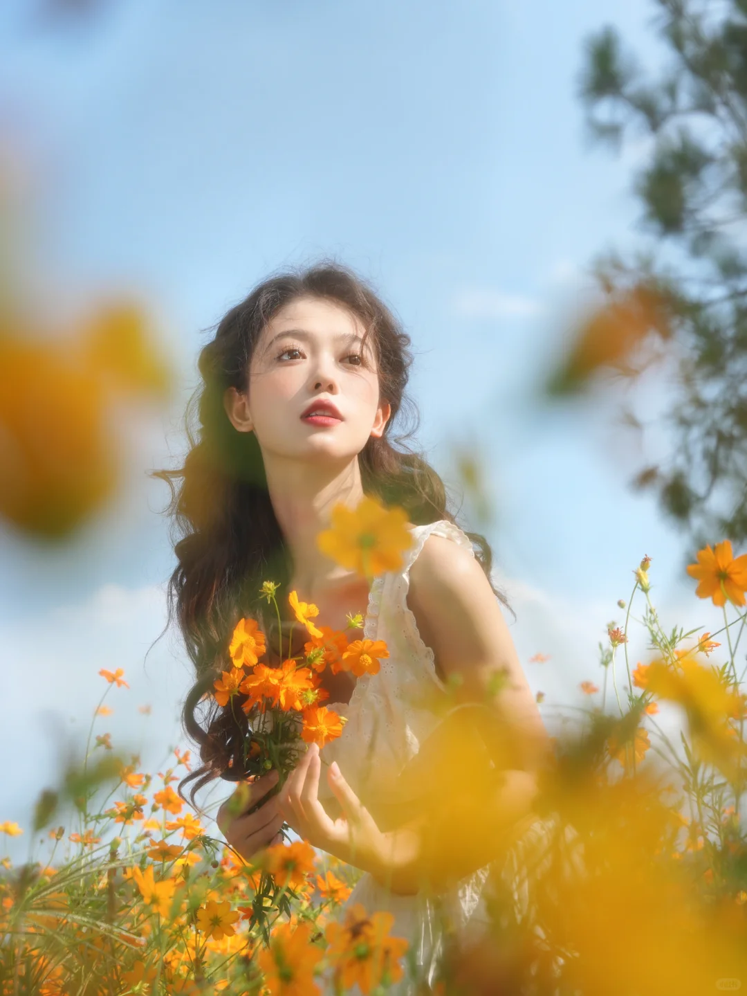 如同午后温柔的秋风🍂