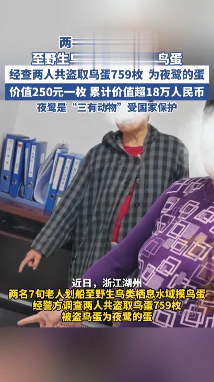 “还敢掏鸟蛋吗！”近日，浙江湖州，两位年过七旬的大爷划船到野外水域，摸走了759