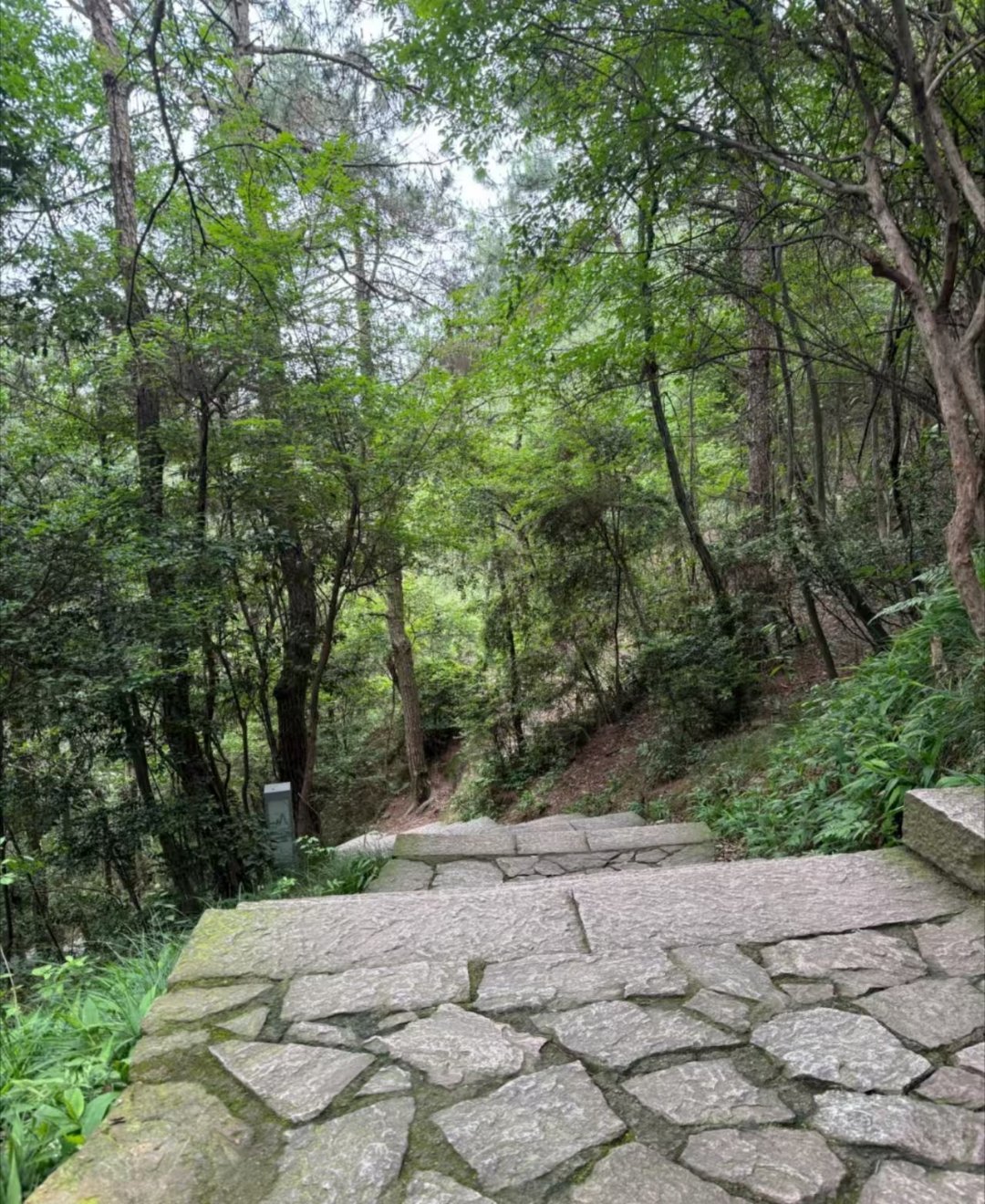 被中国姑娘的无氧登山路燃到了 看到这位中国姑娘的无氧登山路真的会感到非常的震惊，