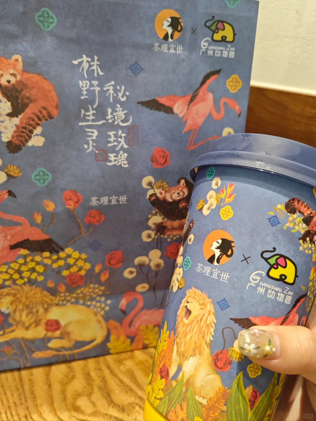 jujuju可爱！！茶理✖️广州动物园新品来了