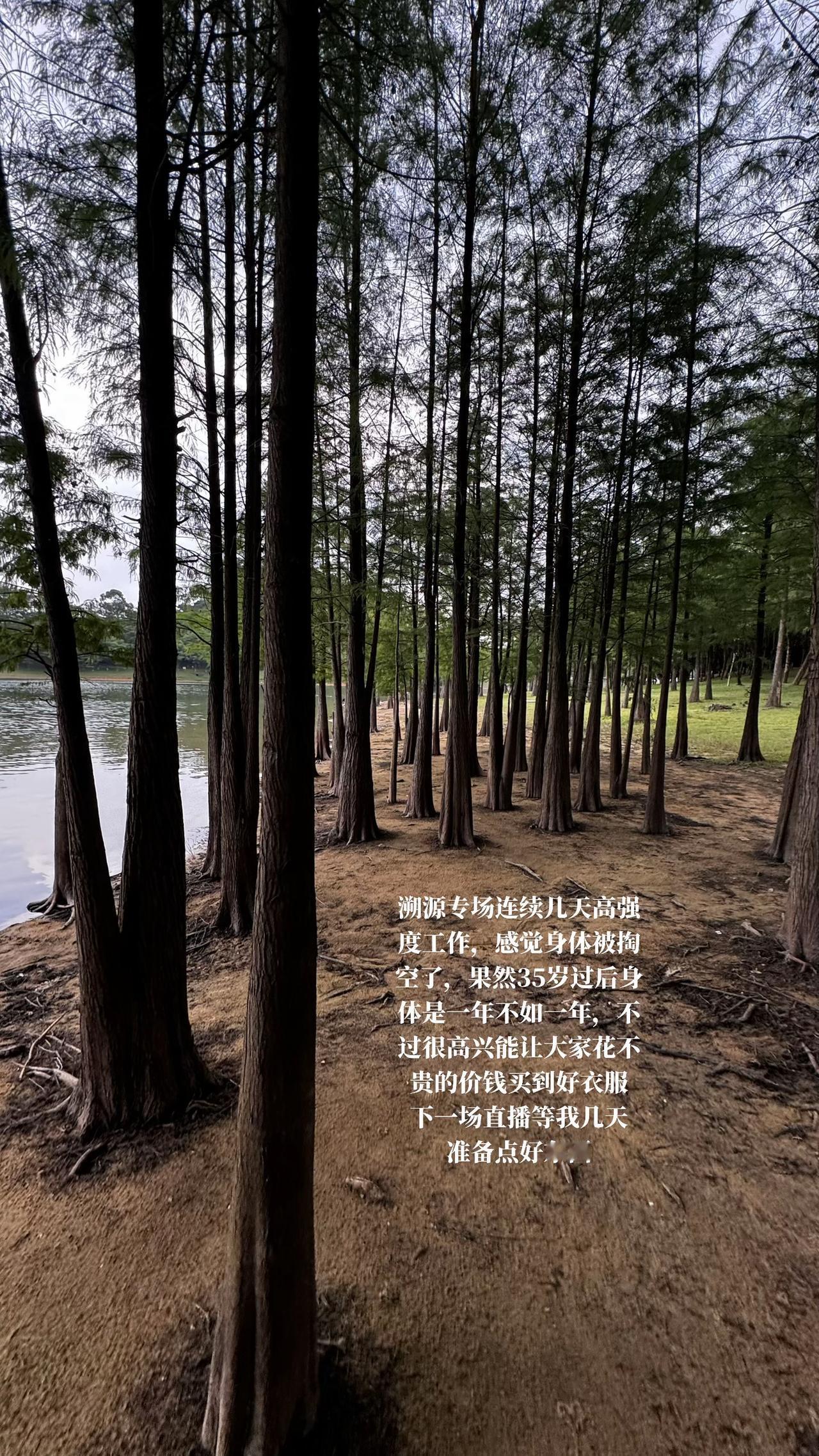 期待下一次见面