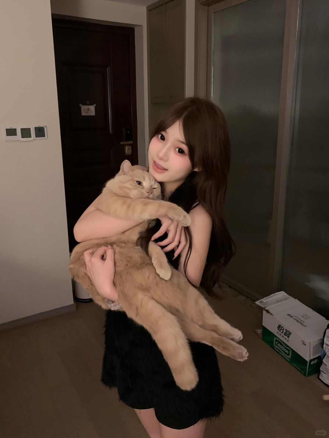生气会变成电子小猫 去赛博世界探险˖⋆🐾˖⋆