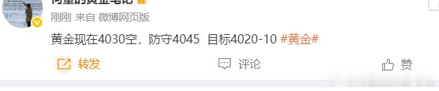 黄金4030空单 已到达目标4020位置黄金 特朗普性侵案败诉外汇黄金 外] 