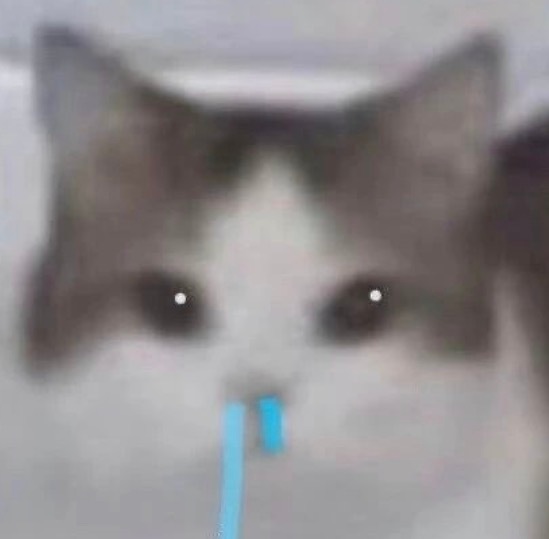 曝韩安冉女儿租房住啊？自己住吗孩子不是还很小的吗