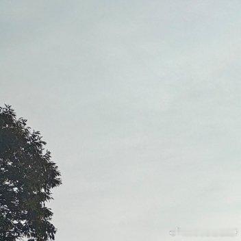 在这宁静的村落，阳光驱散薄雾，溪流潺潺低语。若你路过，为溪边的小鸭添一把谷粒，帮