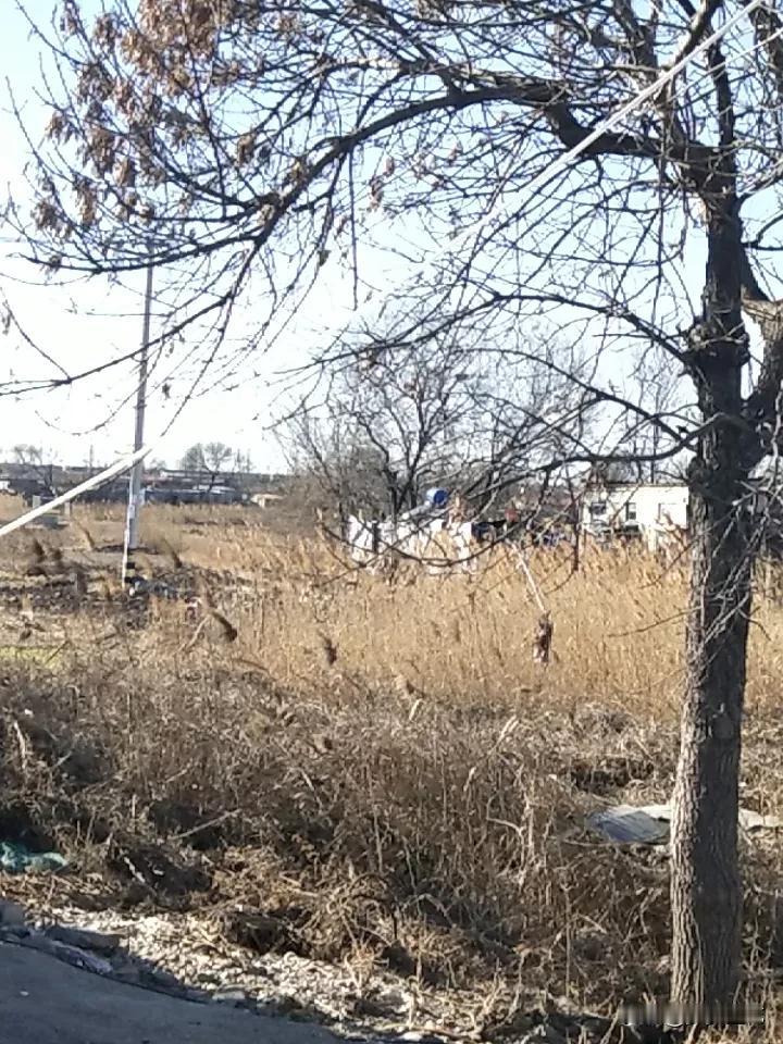 别再向外找安全感了！

真正的底气


从来都攥在自己手里
 
很多人觉得安全感