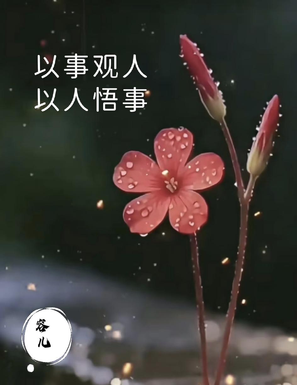 人性铁律：
夫妻——不送葬
邻里——别比富

亲戚——不共财
朋友——别失信
