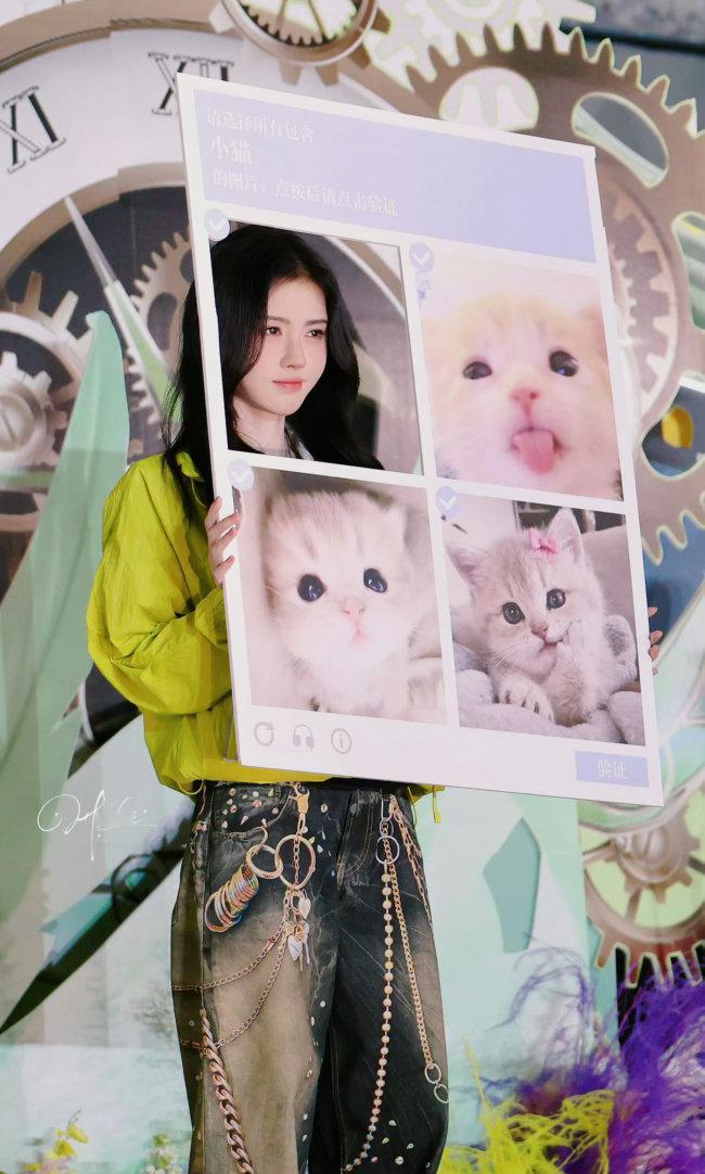 鞠婧祎 猪塑 猫猫塑🆚猪猪塑，大家觉得哪个更贴切鞠婧祎