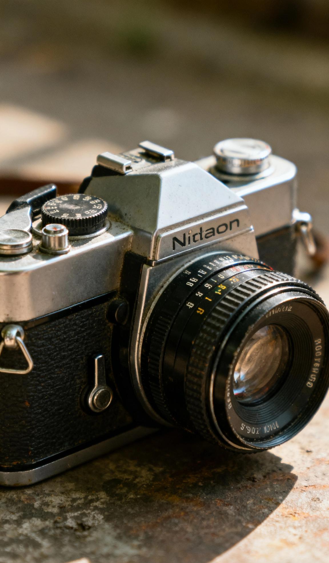 总觉得收藏离“珍奇”很远，直到摩挲起家里的老相机——金属机身泛着柔光，按下快门还