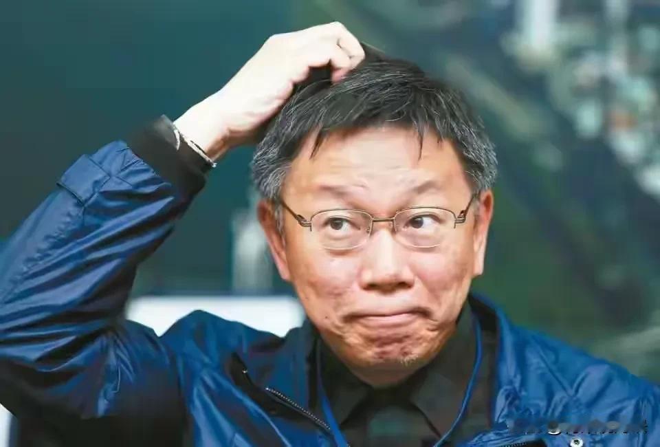 卢秀燕推在野大联盟，柯文哲酸言：这名字我2014年就用过了

卢秀燕最近动作很大