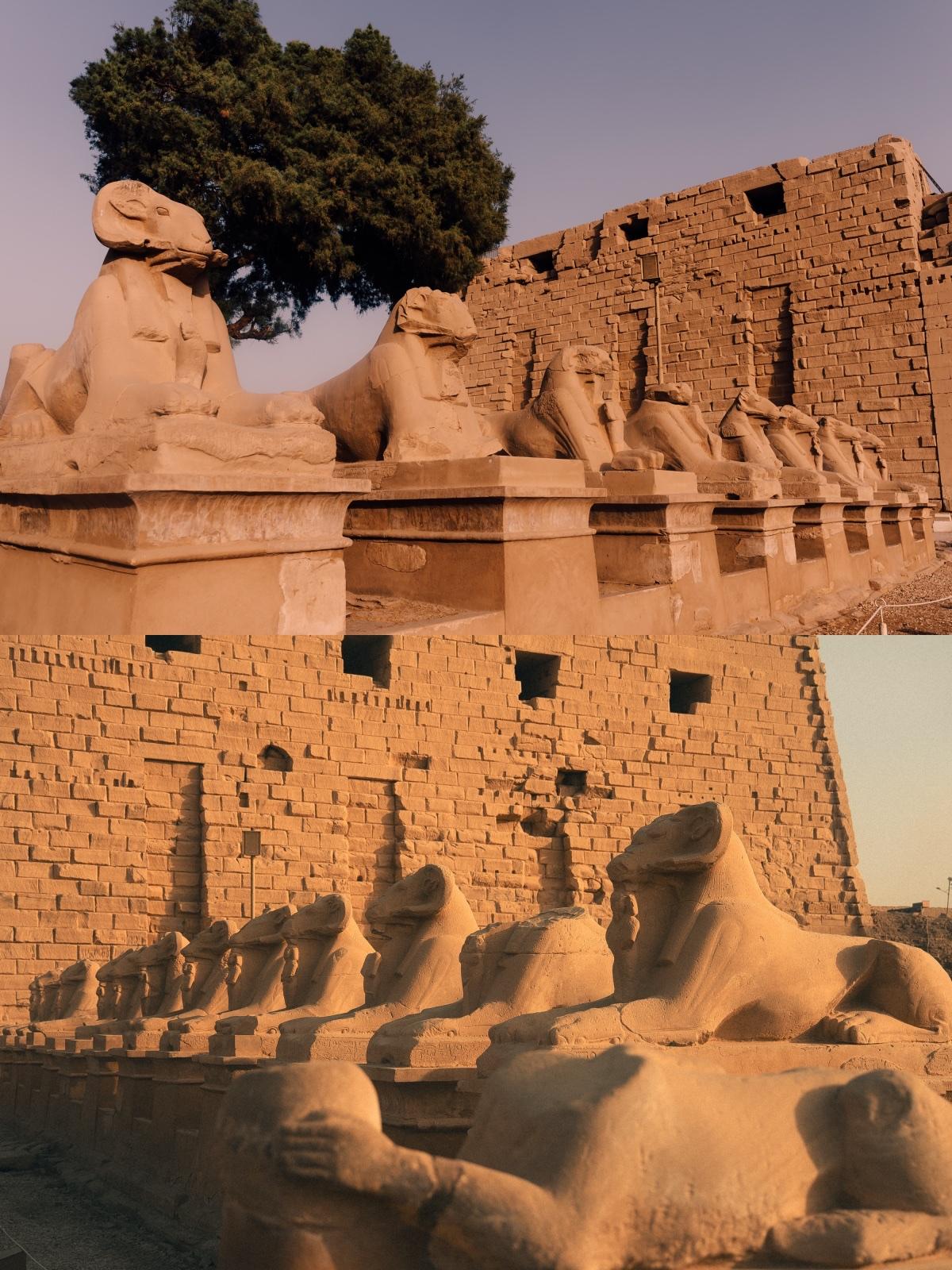 探秘卢克索｜没来过这里埃及等于白来了

埃及人有个说法，没有到过卢克索，就等于没