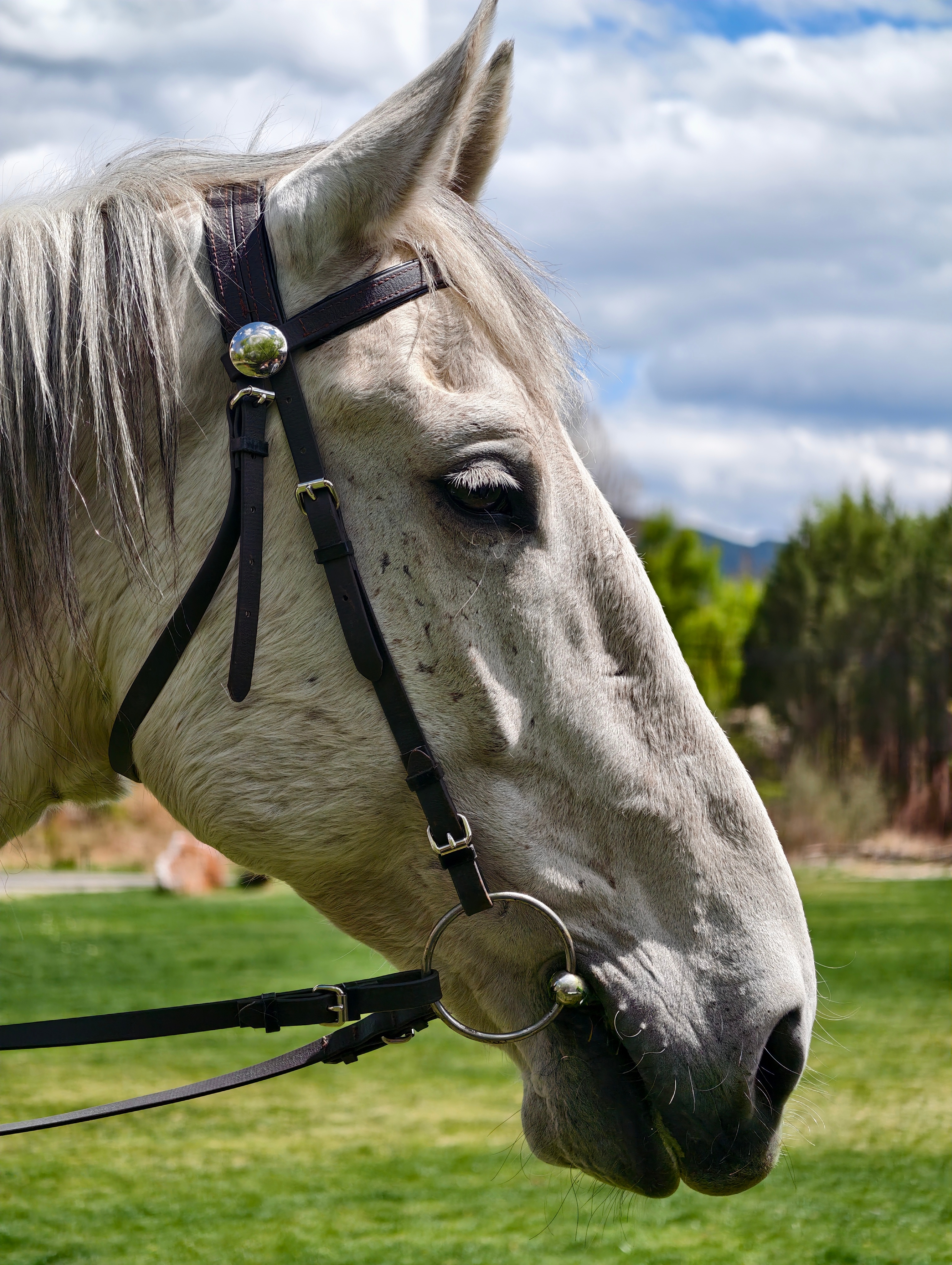 已到vivo X300 Ultra丨X300s春季新品发布会现场～这发布会场地夯