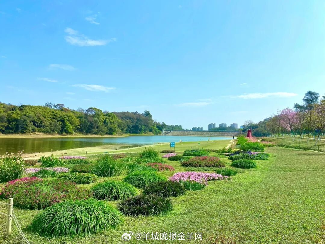 #早安#心有热爱，眼中自有光芒。找到你所热爱的事，并为之全力以赴，愿你活成自己喜