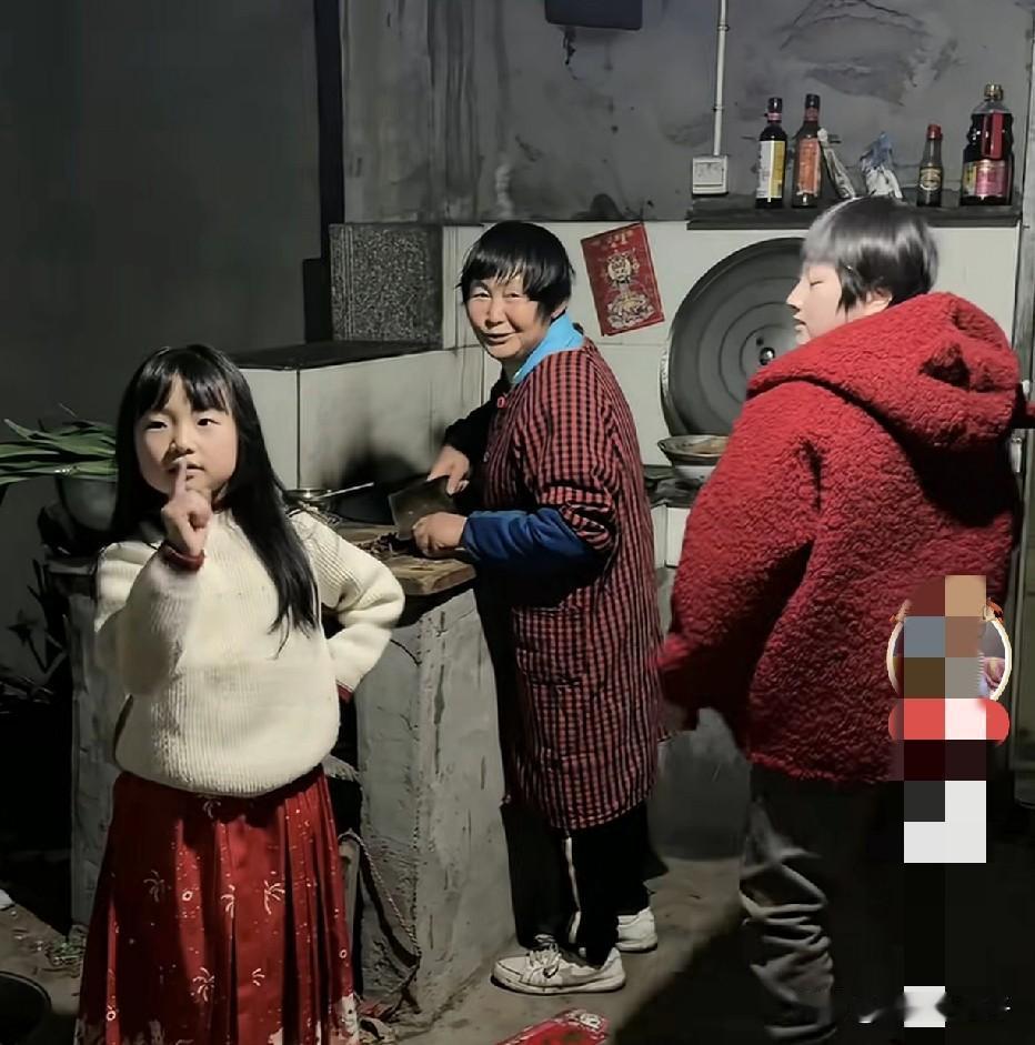 希希一家过年回江西老家，带着小三宝第一次回去，要在农村办酒席，看婆婆家里的环境，