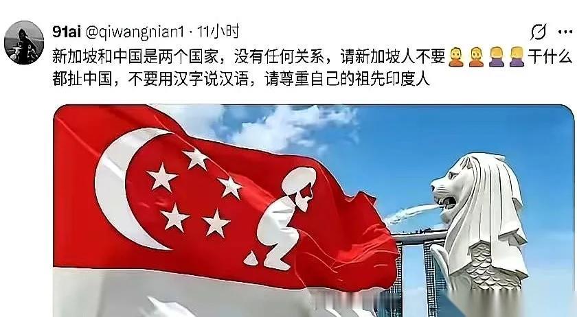 这两天，外网被一句极度刺耳的反讽刷爆了：“请新加坡尊重自己的祖先印度人，别干什么