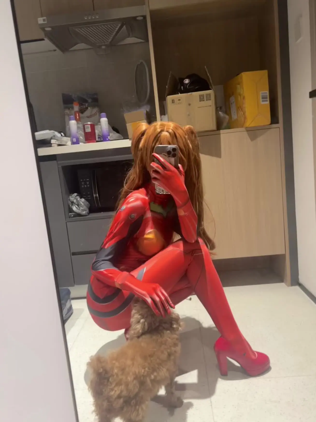 混更一个乱七八糟的明日香试衣图 这个素材存了好久哈哈哈哈 狗狗叫金条