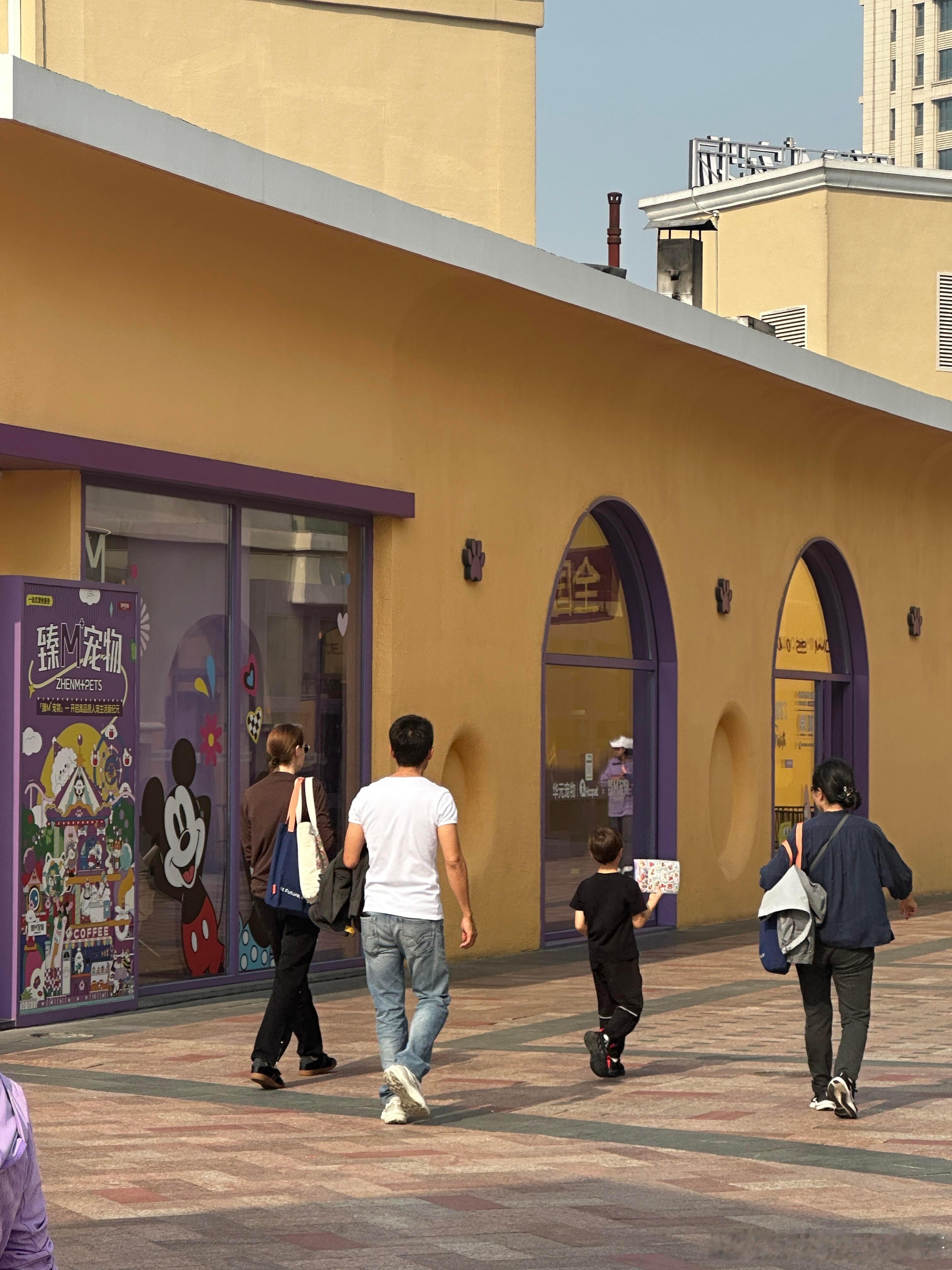 网友偶遇撒贝宁一家四口出游撒贝宁龙凤胎长这么大了 偶遇撒贝宁一家四口出游，龙凤胎