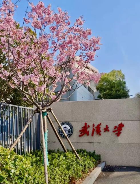 面对网络舆情，装死永远是最佳策略。
这话放在武大图书馆事件里，像戳中了某种“应对