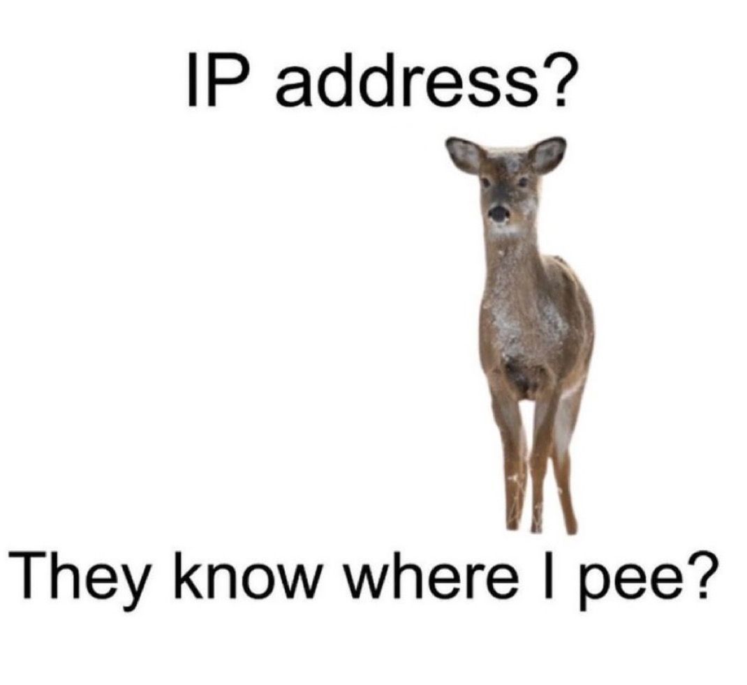 【英语meme】why do you want to know? 