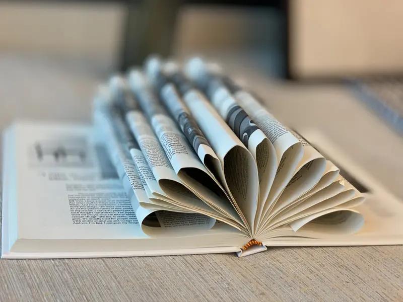 我的文章是被平台“扔进冷宫”了吗？

写完小洛熙那篇文，我像等初恋回信一样盯着手