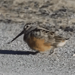 10月1号将出现六批人
第一批是结婚的
第二批是和心爱的人出去旅游的
第三批是躺