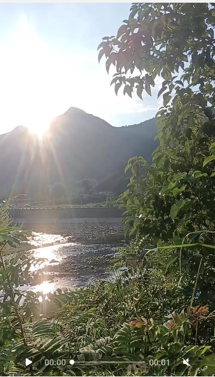 分享一张你最近随拍的照片