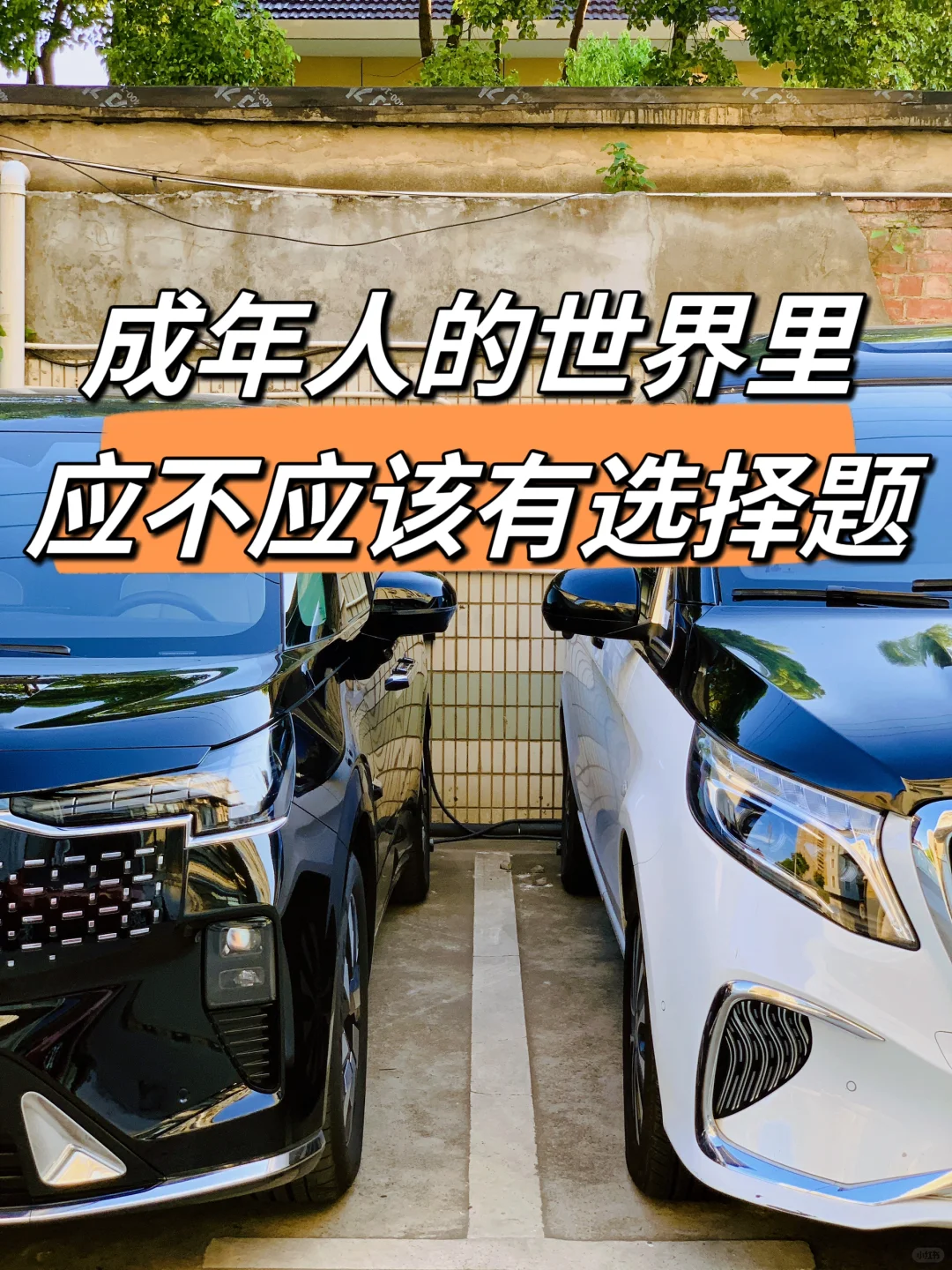 成年人不做选择题，但这次…我为难了‼️‼️‼️