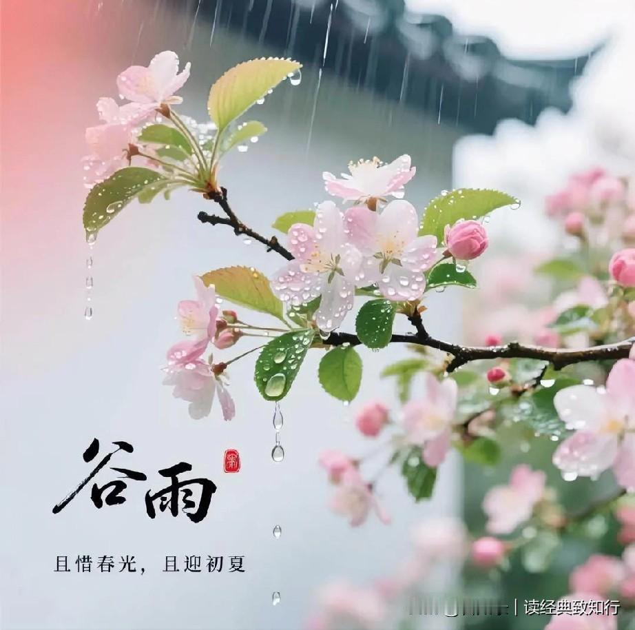 花开不必喜，花落不必叹，时节的来去，从不是消逝，只是流转。雨润山河，谷满人间，愿