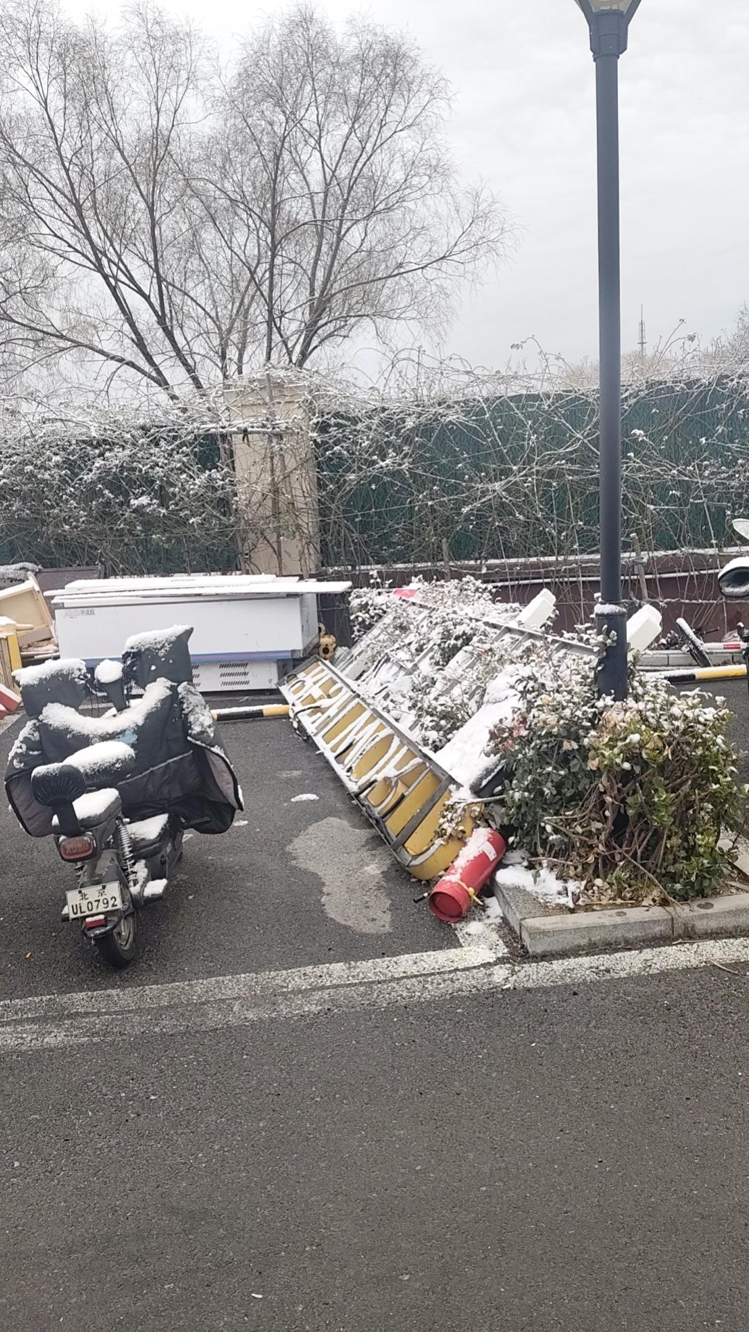 春节后的北京第一场雪来了，这雪在夜里悄悄地来到人间，为北京的早春送丝丝寒意！