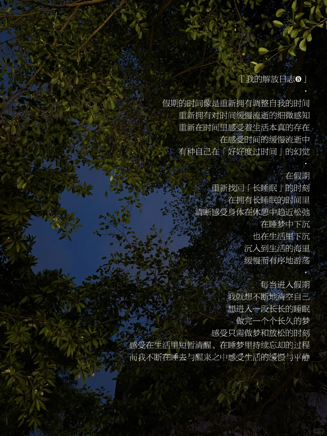 在假期，做长长的梦，清空着自己。