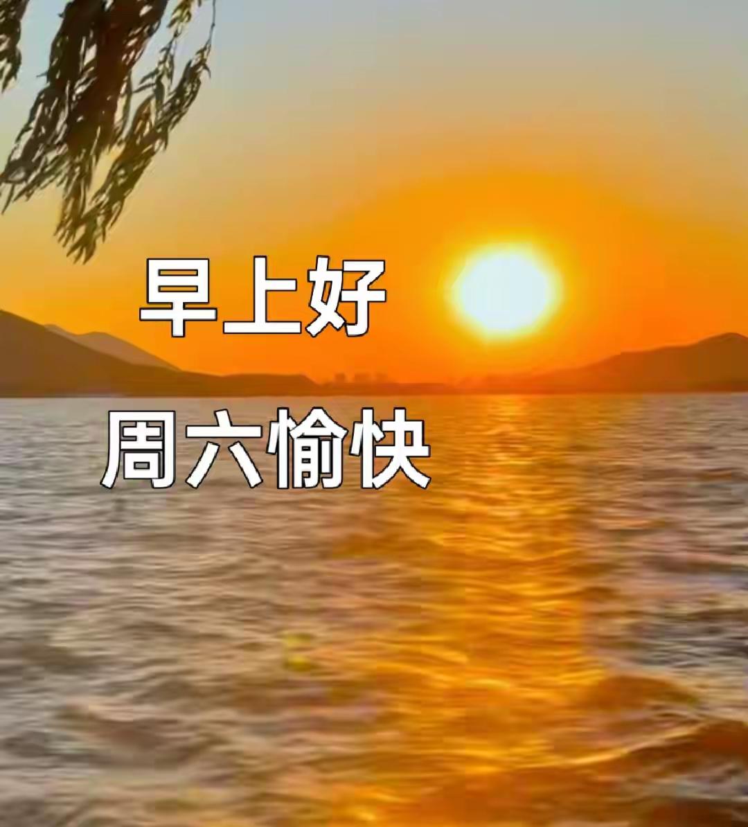 九月金风拂树梢，晨光漫洒染新秋；
暑气散尽心自安然，怀一份恬淡，静度岁月悠悠。