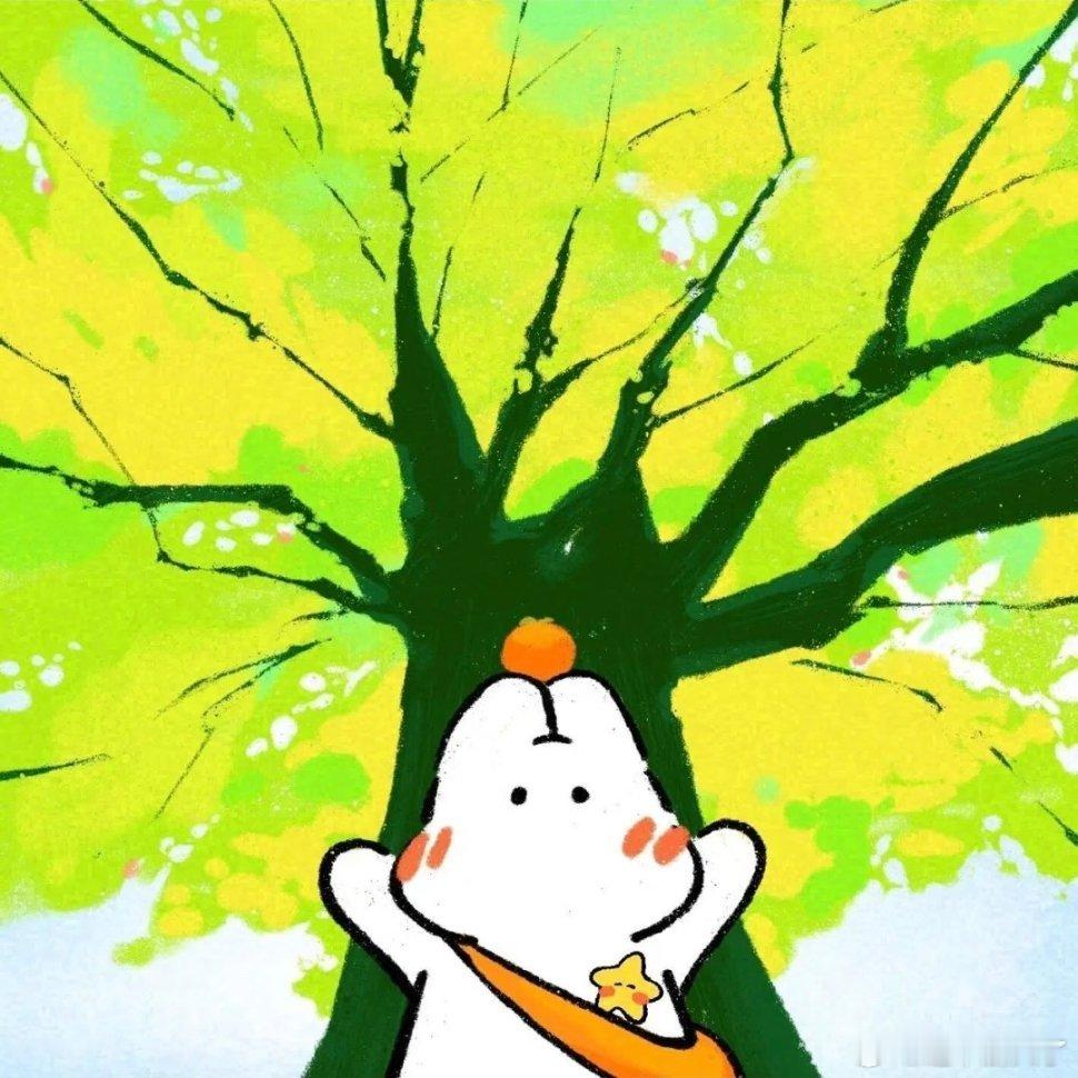 好运头像～次元新星计划