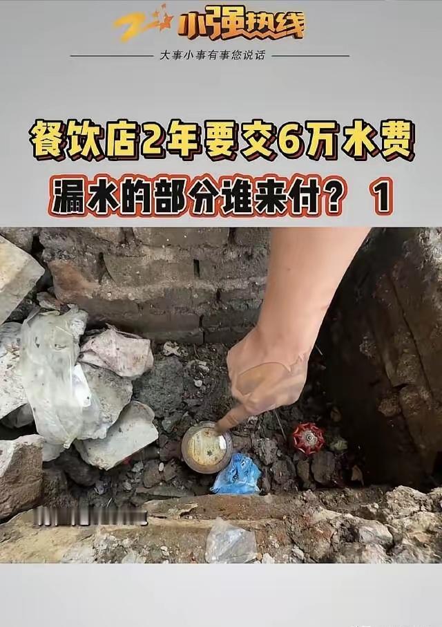 离谱！餐饮店两年无人抄水表，突收6万水费，闲置水表狂走6000吨，水务：漏损全归