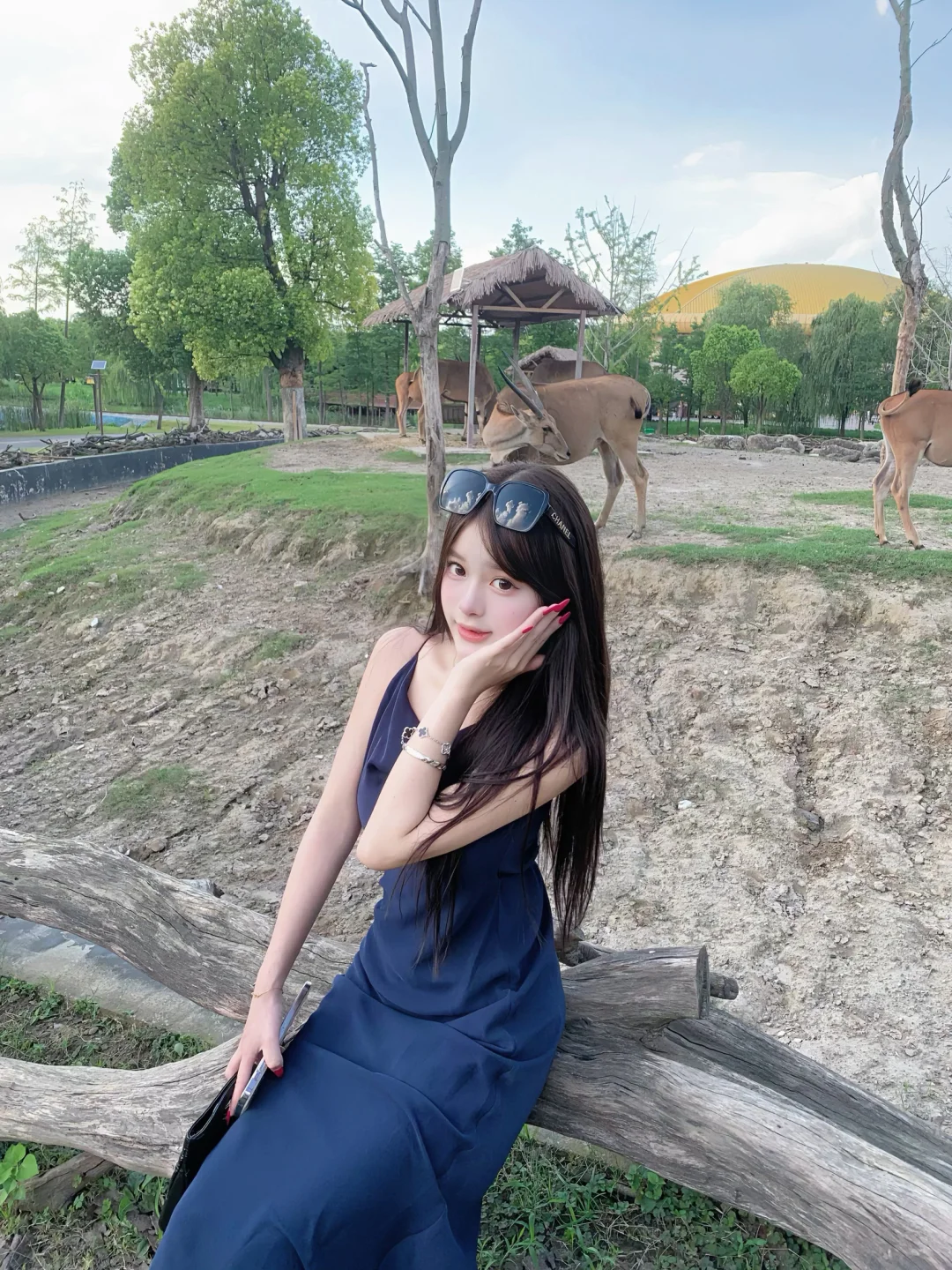 🐾 𝙕𝙤𝙤𝙤𝙤𝙤 .ᐟ.ᐟ.ᐟ🪵🦒