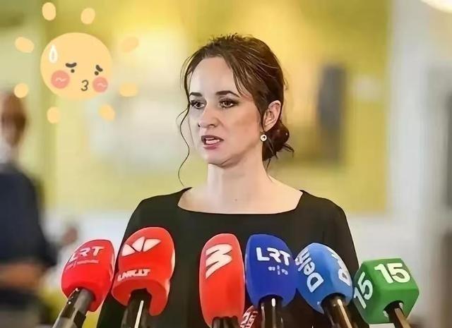 立陶宛那边，新总理因格丽达·西蒙尼特刚刚上任她就表示，要努力让对华关系恢复至大使