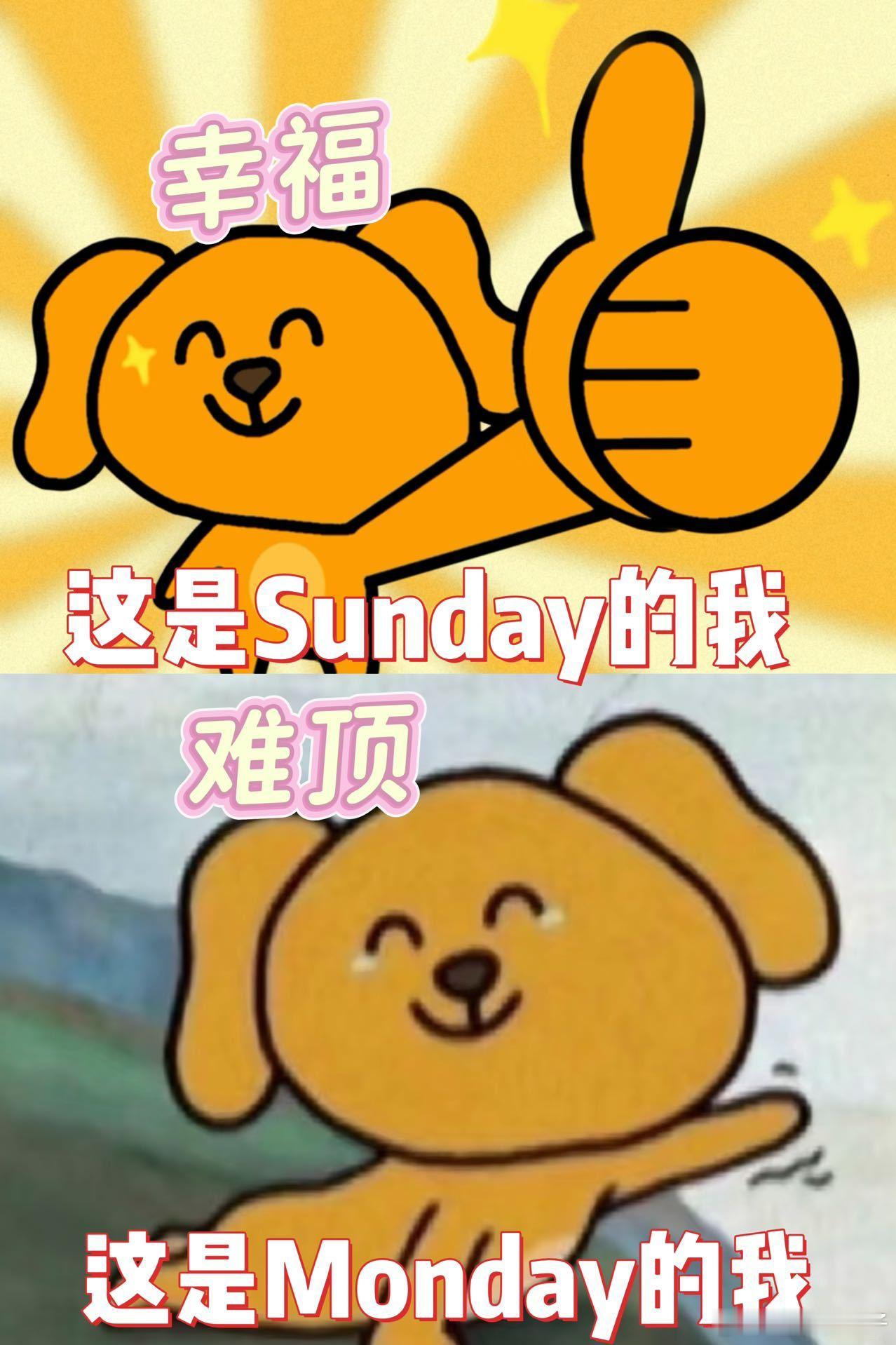 美美Sunday循环Monday 《不眠日》循环，打工人共情了！ ​​​
