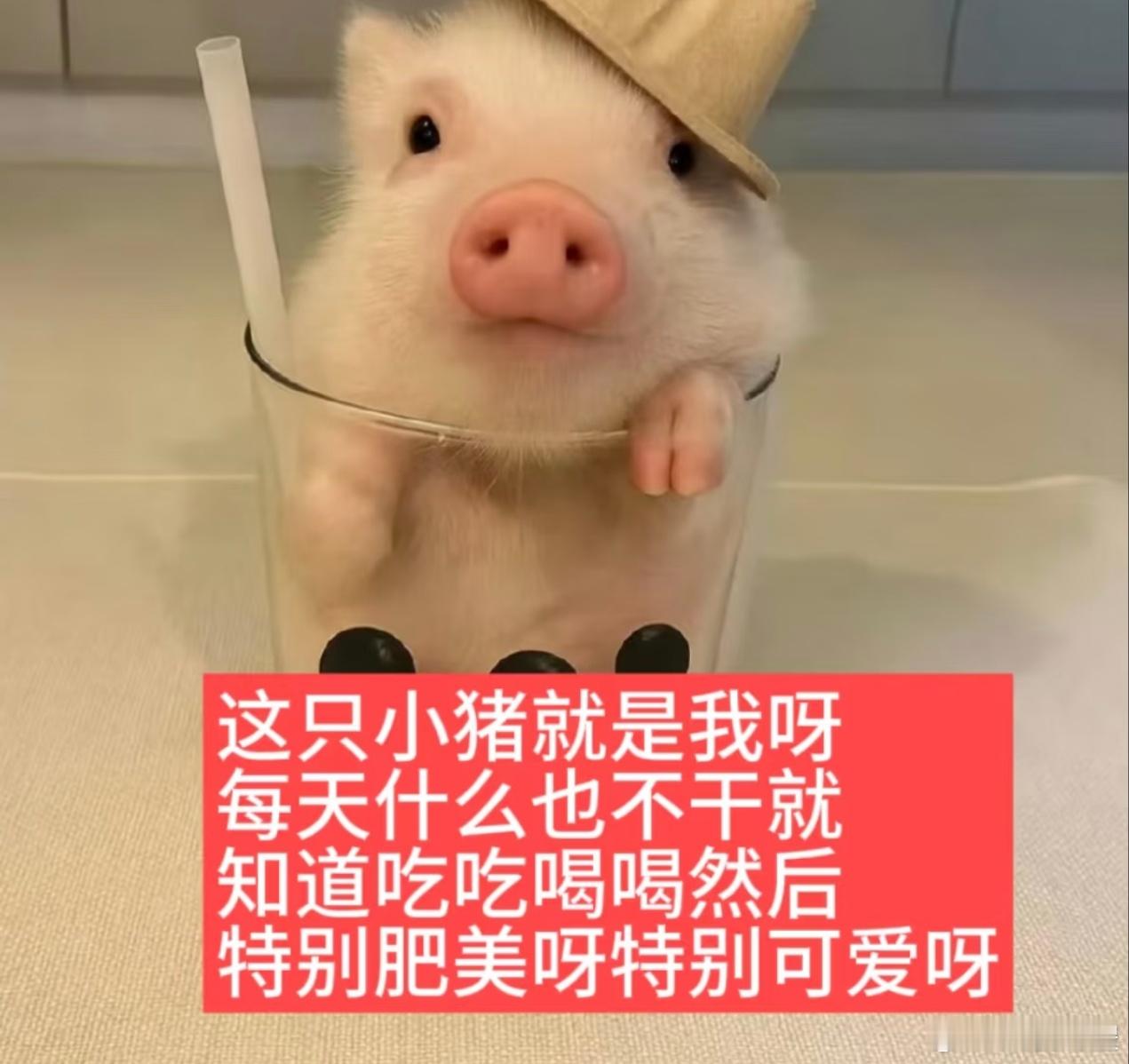 对 