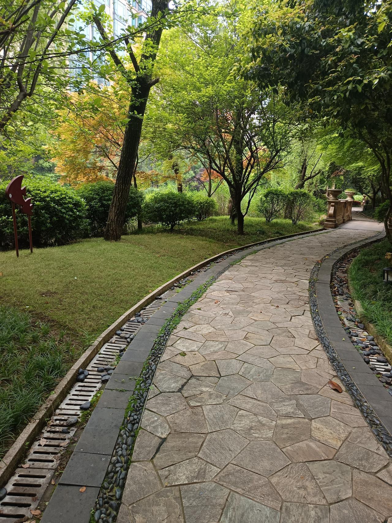 时间过得真快，我父亲离世快五年了，我外孙出生也快五岁了。人生就是个自然规律，老人