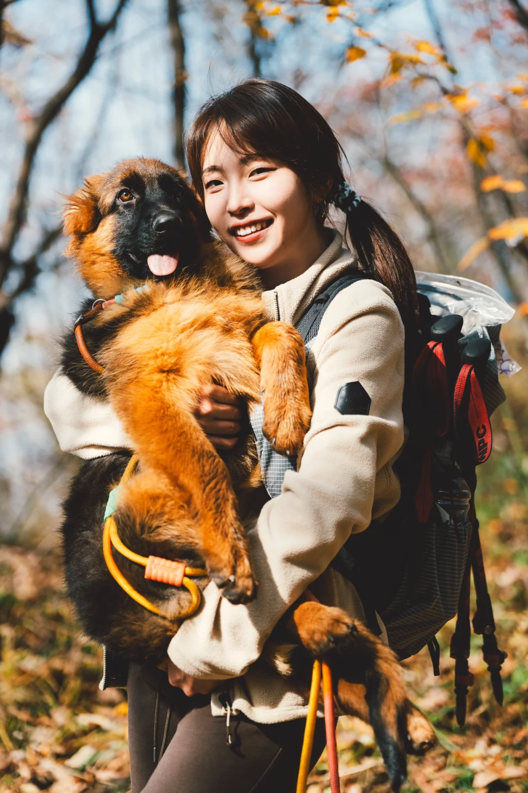 立冬这天和朋友们带狗子进山赏秋🍂