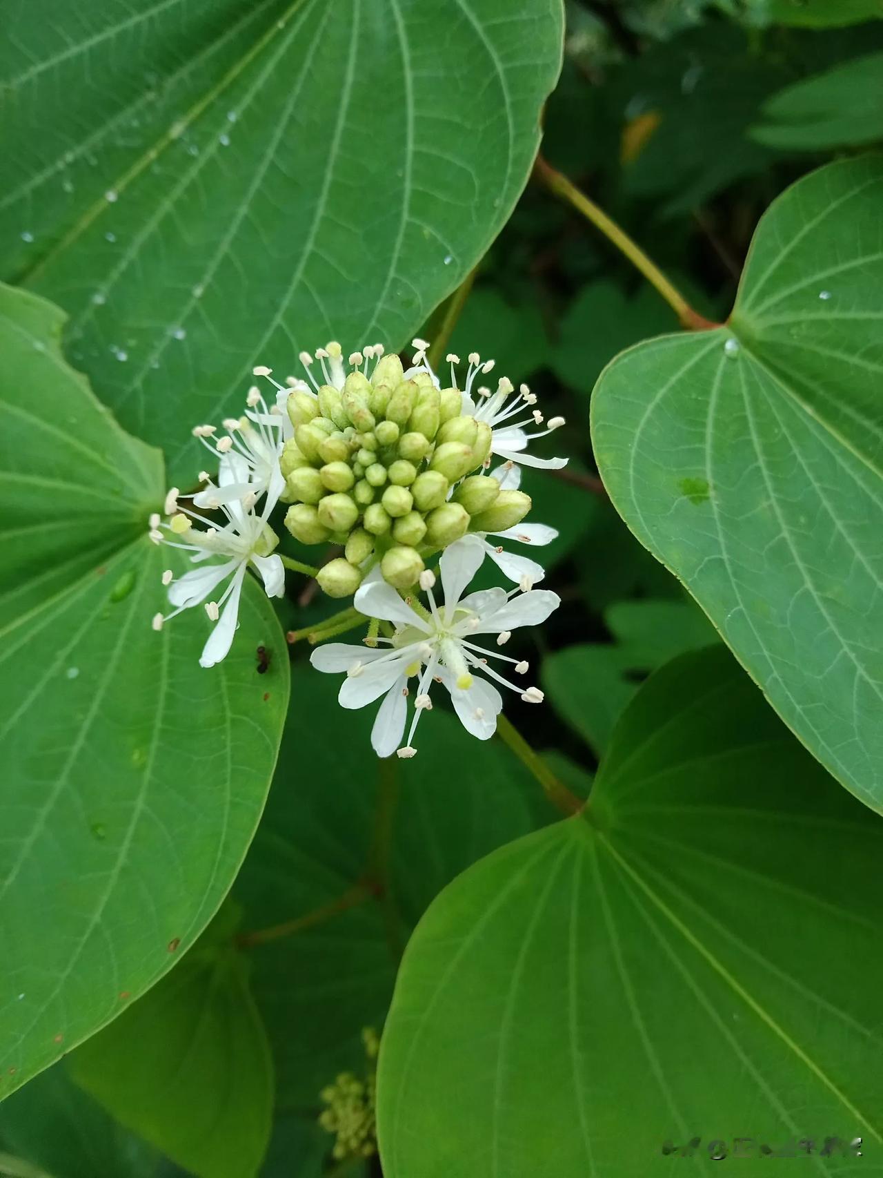 山里面待了三天，今天终于确定可以离开了，在返程的路上心情是澎湃的，也是复杂的。三