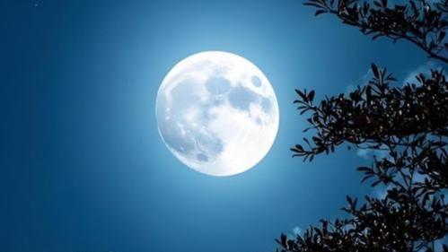 收入低，有什么靠谱的副业吗现在经济不景气各行各业压力巨大，裁员降薪已不是个别的了